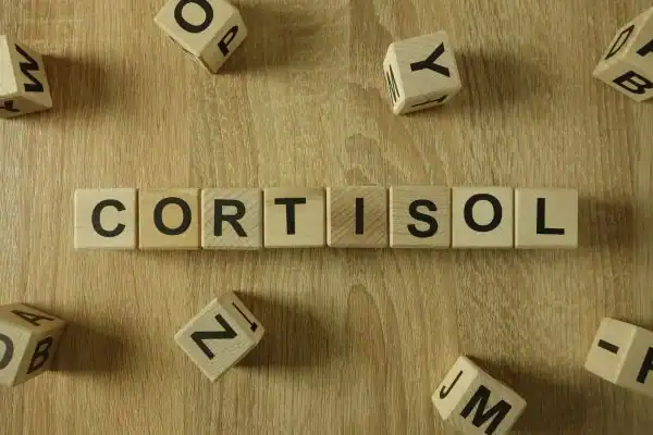 The Hidden Connection: How Stress Shapes Your Fitness and Body Composition 2 Image saying "Cortisol" and how stress Folkestone impacts your wellbeing and bodies shape